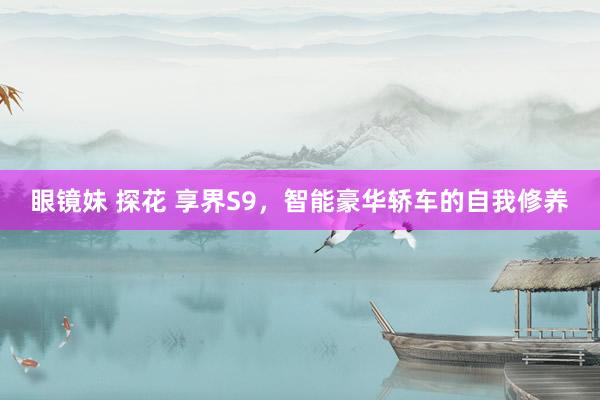 眼镜妹 探花 享界S9，智能豪华轿车的自我修养