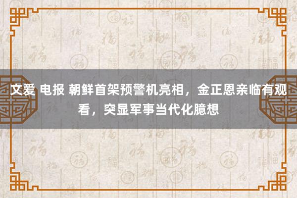 文爱 电报 朝鲜首架预警机亮相，金正恩亲临有观看，突显军事当代化臆想