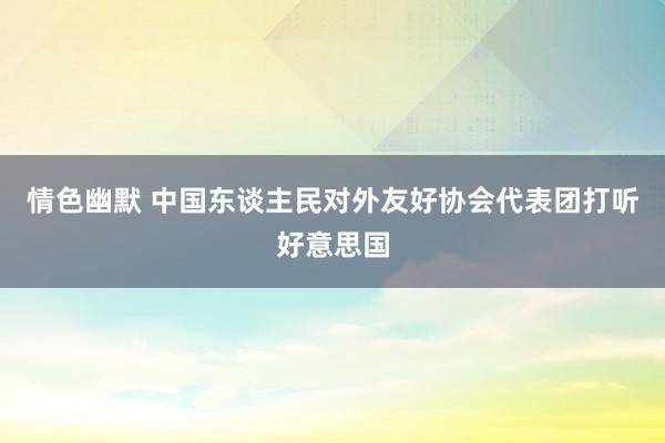 情色幽默 中国东谈主民对外友好协会代表团打听好意思国