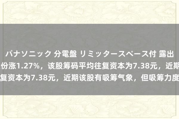パナソニック 分電盤 リミッタースペース付 露出・半埋込両用形 冠农股份涨1.27%，该股筹码平均往复资本为7.38元，近期该股有吸筹气象，但吸筹力度不彊