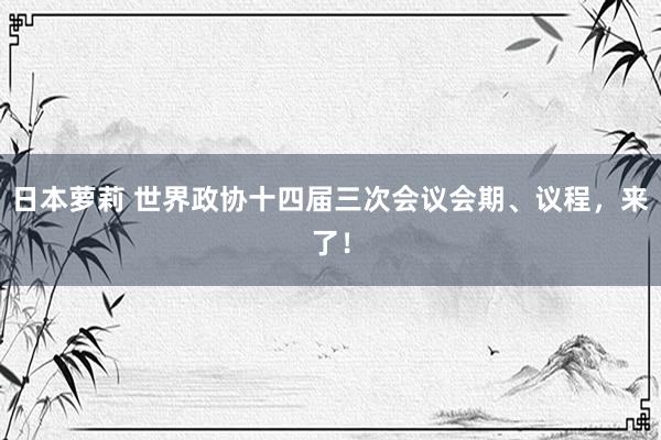 日本萝莉 世界政协十四届三次会议会期、议程，来了！